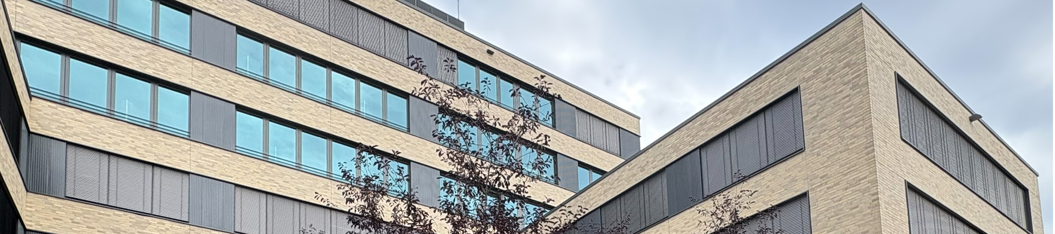 Projekt - BÜROGEBÄUDE BORNITZSTRAßE 49+51 BERLIN - Header Bild